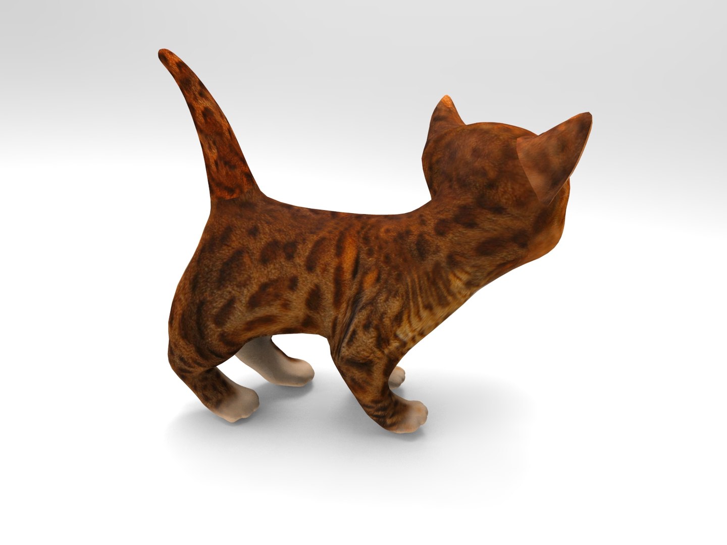 cute cat animation 3D model https://p.turbosquid.com/ts-thumb/rU/4ywwcW/WDDz46oz/cartton_cat.369/jpg/1509373067/1920x1080/fit_q87/03ef3978f1205dec6edaaec59d52044156aac0aa/cartton_cat.369.jpg