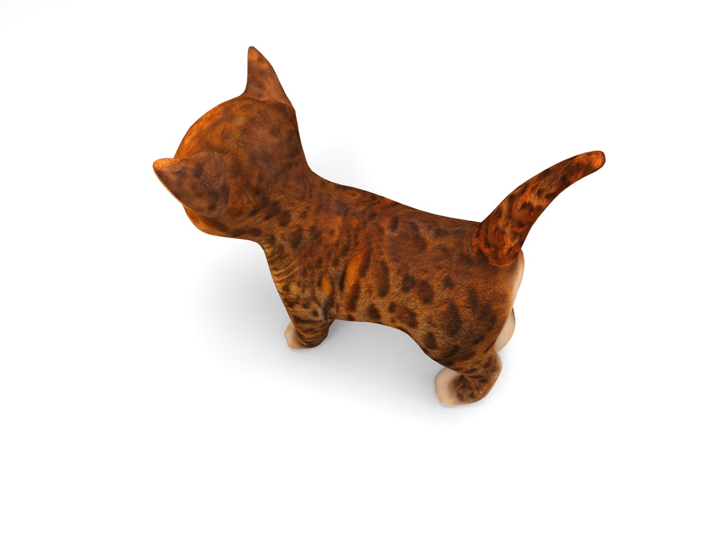 cute cat animation 3D model https://p.turbosquid.com/ts-thumb/rU/4ywwcW/WzBTpFV5/cartton_cat.373/jpg/1509373067/1920x1080/fit_q87/b6196eedf13a9897938b35679bff4273189093fe/cartton_cat.373.jpg