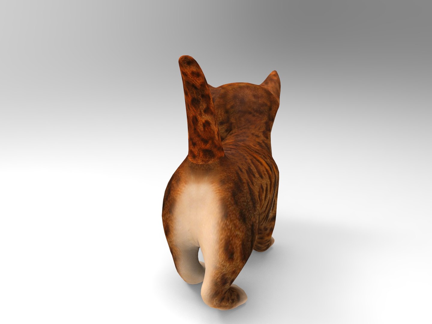 cute cat animation 3D model https://p.turbosquid.com/ts-thumb/rU/4ywwcW/f1dp9xnu/cartton_cat.368/jpg/1509373067/1920x1080/fit_q87/6fd7298bbd4e361798272a3fe683cba3e13142ca/cartton_cat.368.jpg