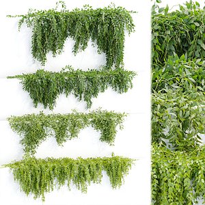 Hanging wall plants collection vol 109-3dmodel