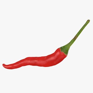3D Chili Pepper 03