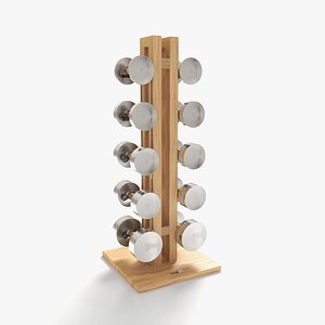 3D Paragon Studio Luxury Gym Equipment - Vertical Dumbbell Rack 5 Pair