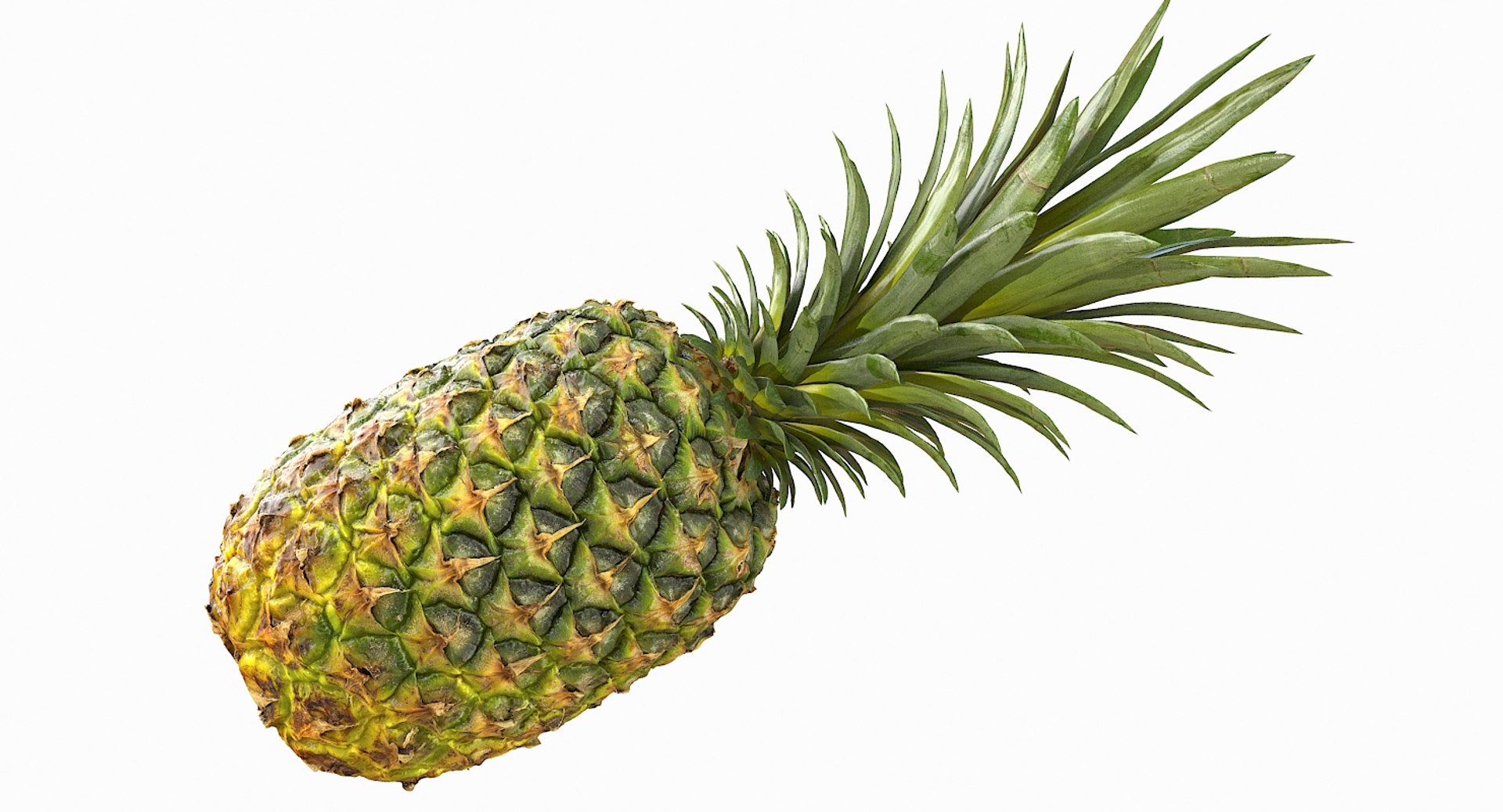 realistic 3D model https://p.turbosquid.com/ts-thumb/rU/af2gif/0AV2JZgy/pineapple_025/jpg/1550938456/1920x1080/fit_q87/3828e3474e4f042a7c796e537182e9ab84ea265f/pineapple_025.jpg