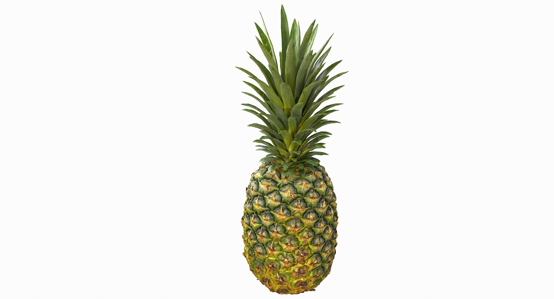 realistic 3D model https://p.turbosquid.com/ts-thumb/rU/af2gif/0IRAQG8W/pineapple_026/jpg/1550938456/1920x1080/fit_q87/9e0215214c569a8820b5d27b3c67a9a2d5885c11/pineapple_026.jpg