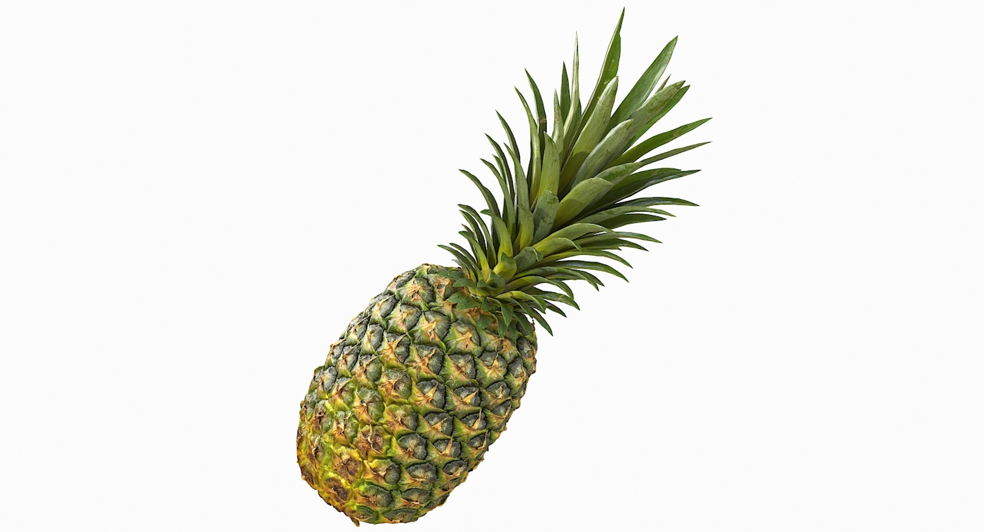 realistic 3D model https://p.turbosquid.com/ts-thumb/rU/af2gif/3Qnh4FUb/pineapple_055/jpg/1550938456/1920x1080/fit_q87/c9247457d5ca4923af75a2a1902a3d9641778512/pineapple_055.jpg