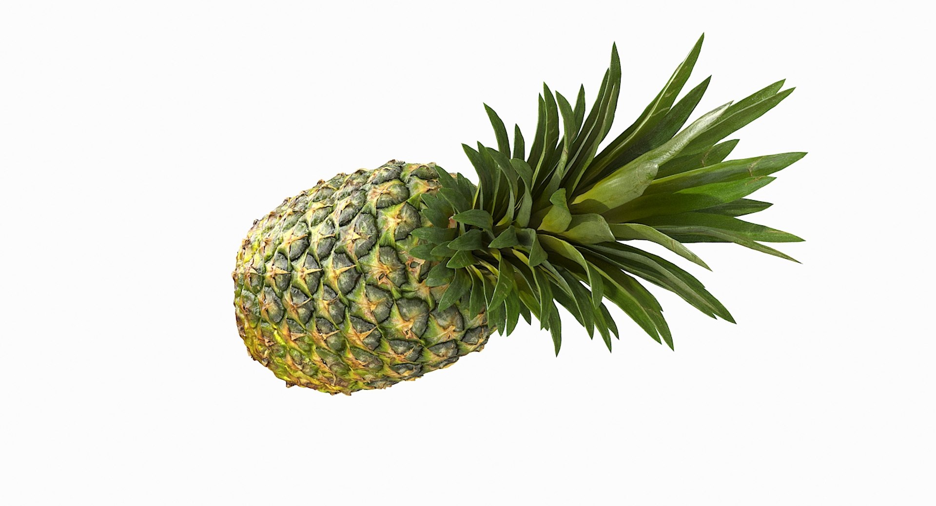 realistic 3D model https://p.turbosquid.com/ts-thumb/rU/af2gif/5PSl0jp6/pineapple_054/jpg/1550938456/1920x1080/fit_q87/7b593b2059ae87d537fd719a0fd29da455707bff/pineapple_054.jpg