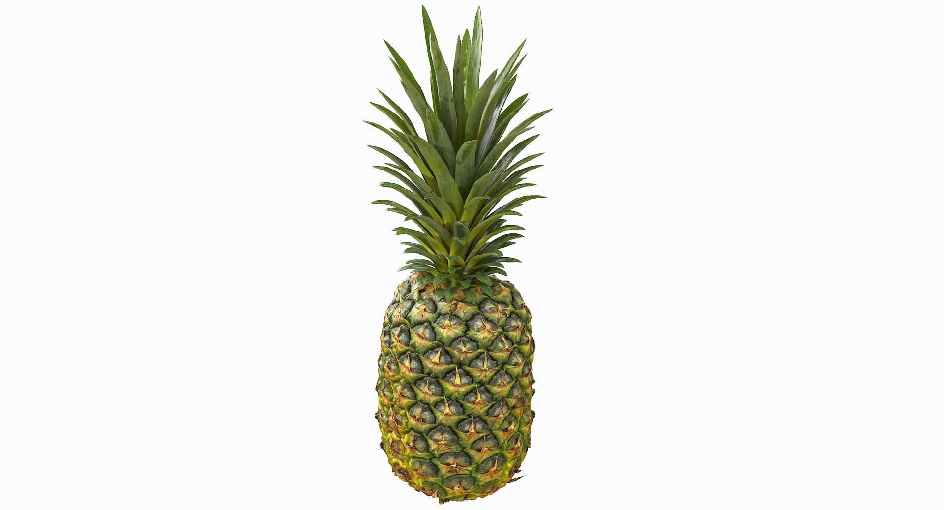 realistic 3D model https://p.turbosquid.com/ts-thumb/rU/af2gif/6XQpp2KV/pineapple_004/jpg/1550938455/1920x1080/fit_q87/719df4934be352b84165c2f8b66cf0f345e7d471/pineapple_004.jpg