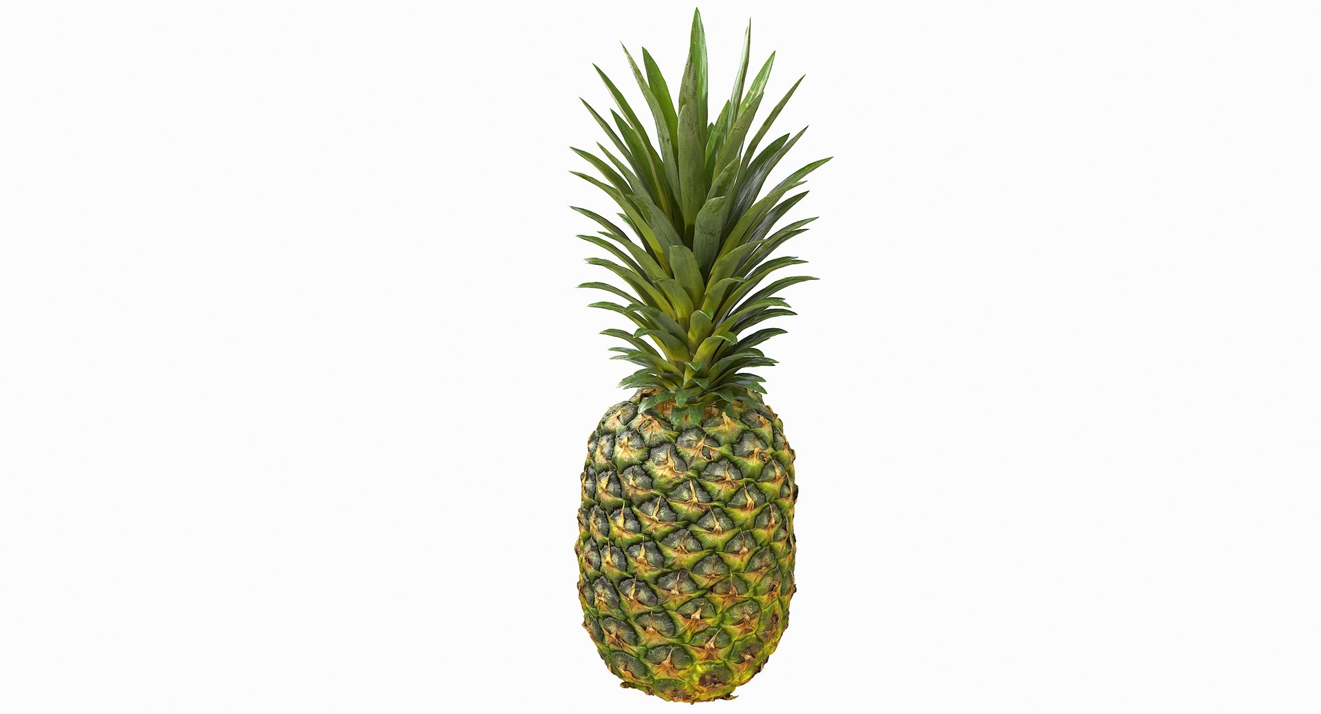 realistic 3D model https://p.turbosquid.com/ts-thumb/rU/af2gif/6oIS3Rpp/pineapple_028/jpg/1550938456/1920x1080/fit_q87/3d5f1934fda83ffb78407abcb6bc57397445cd03/pineapple_028.jpg
