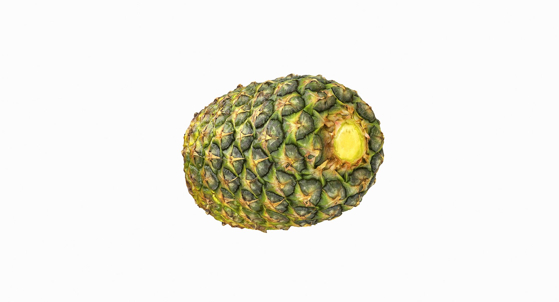 realistic 3D model https://p.turbosquid.com/ts-thumb/rU/af2gif/7q8Pg6QK/pineapple_084/jpg/1550938457/1920x1080/fit_q87/c5723a1b46f2d864db29c381ef18a8621f33e395/pineapple_084.jpg