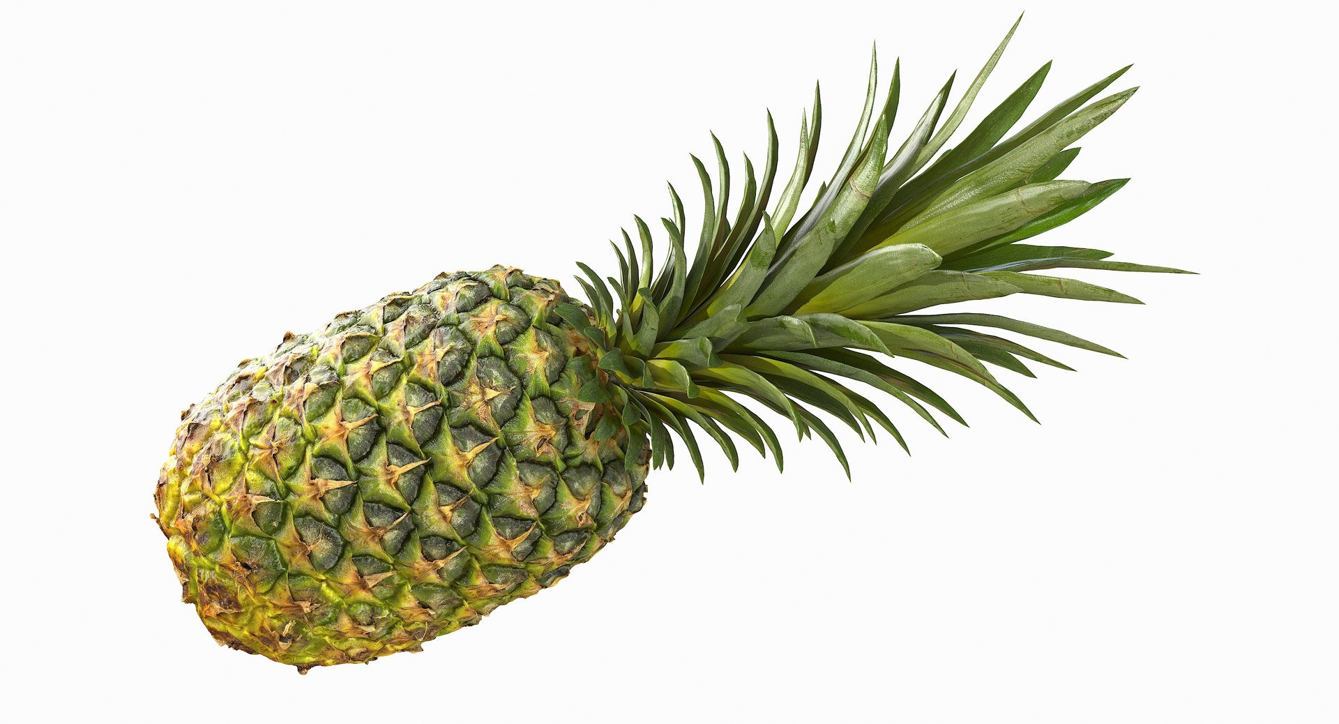 realistic 3D model https://p.turbosquid.com/ts-thumb/rU/af2gif/8IVFUFNS/pineapple_053/jpg/1550938456/1920x1080/fit_q87/bbc44f33545ea3d9970655b892e4c92beff0a31f/pineapple_053.jpg