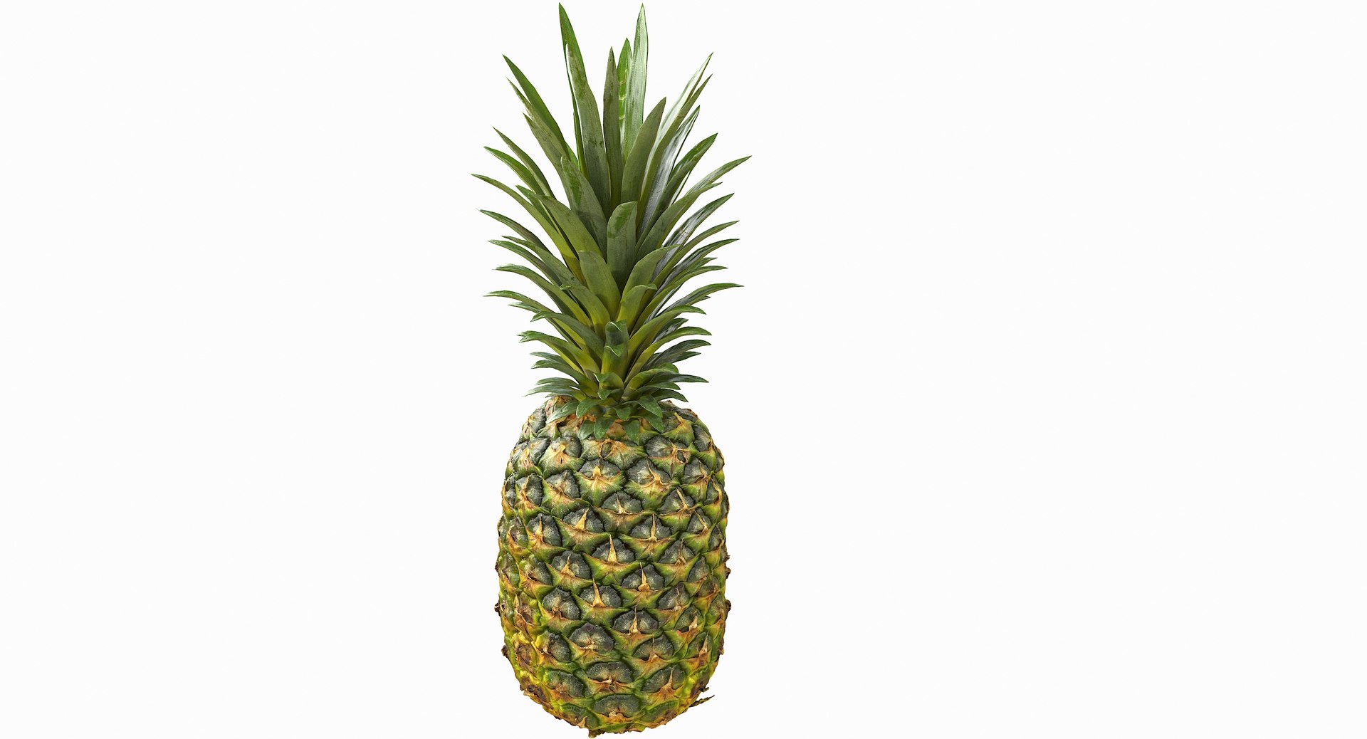 realistic 3D model https://p.turbosquid.com/ts-thumb/rU/af2gif/BkI1JiHm/pineapple_011/jpg/1550938455/1920x1080/fit_q87/a1d319d8689bdca64788665b2e410dcc02ba33b9/pineapple_011.jpg