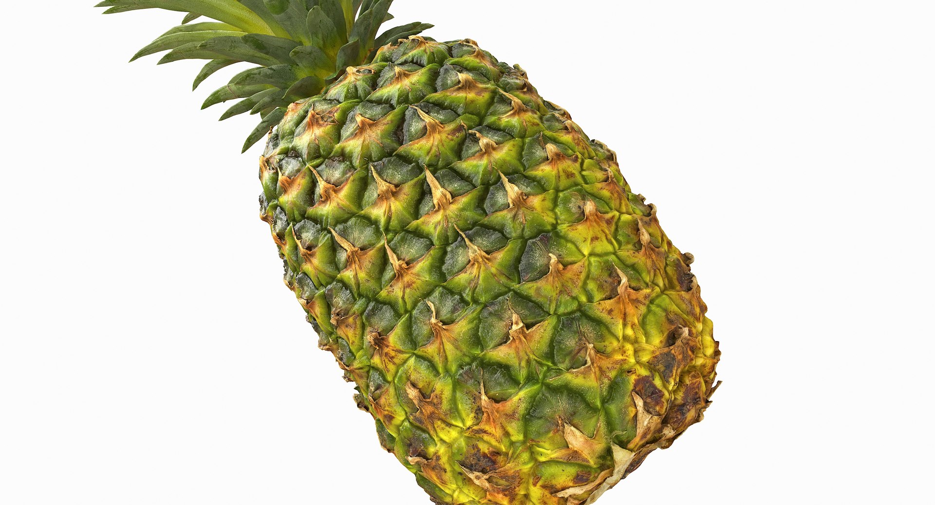 realistic 3D model https://p.turbosquid.com/ts-thumb/rU/af2gif/D7SQ7D6h/pineapple_049/jpg/1550938456/1920x1080/fit_q87/d4b28d52d0b8ac85f347ad5e83a3a55db447f0ba/pineapple_049.jpg