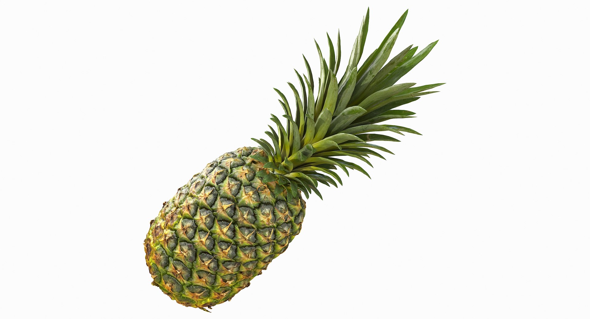 realistic 3D model https://p.turbosquid.com/ts-thumb/rU/af2gif/DvuYp8X2/pineapple_015/jpg/1550938455/1920x1080/fit_q87/e058c25cd0cc0c05019342aaa4c2293862b95304/pineapple_015.jpg