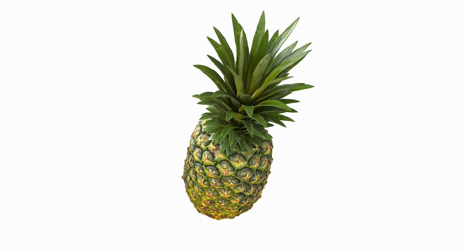 realistic 3D model https://p.turbosquid.com/ts-thumb/rU/af2gif/EWCVhAe8/pineapple_077/jpg/1550938457/1920x1080/fit_q87/8282b94bd535094925b88e8842e4f49d61c93f76/pineapple_077.jpg