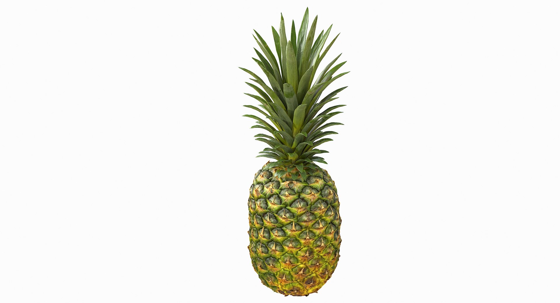 realistic 3D model https://p.turbosquid.com/ts-thumb/rU/af2gif/FA431z8j/pineapple_023/jpg/1550938455/1920x1080/fit_q87/73a62b6333ca22f54b52961a164e656b588634e8/pineapple_023.jpg