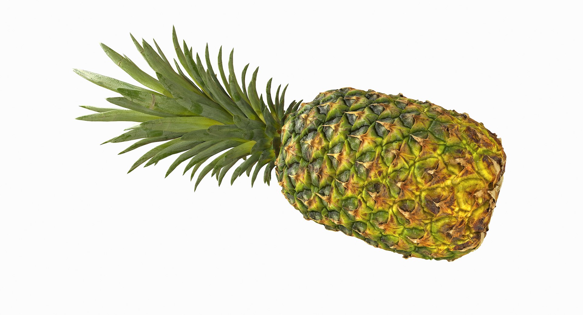 realistic 3D model https://p.turbosquid.com/ts-thumb/rU/af2gif/FY9hMTlA/pineapple_080/jpg/1550938457/1920x1080/fit_q87/49100b2b4d9835b784c079cc071f5aa6f5ed09bd/pineapple_080.jpg