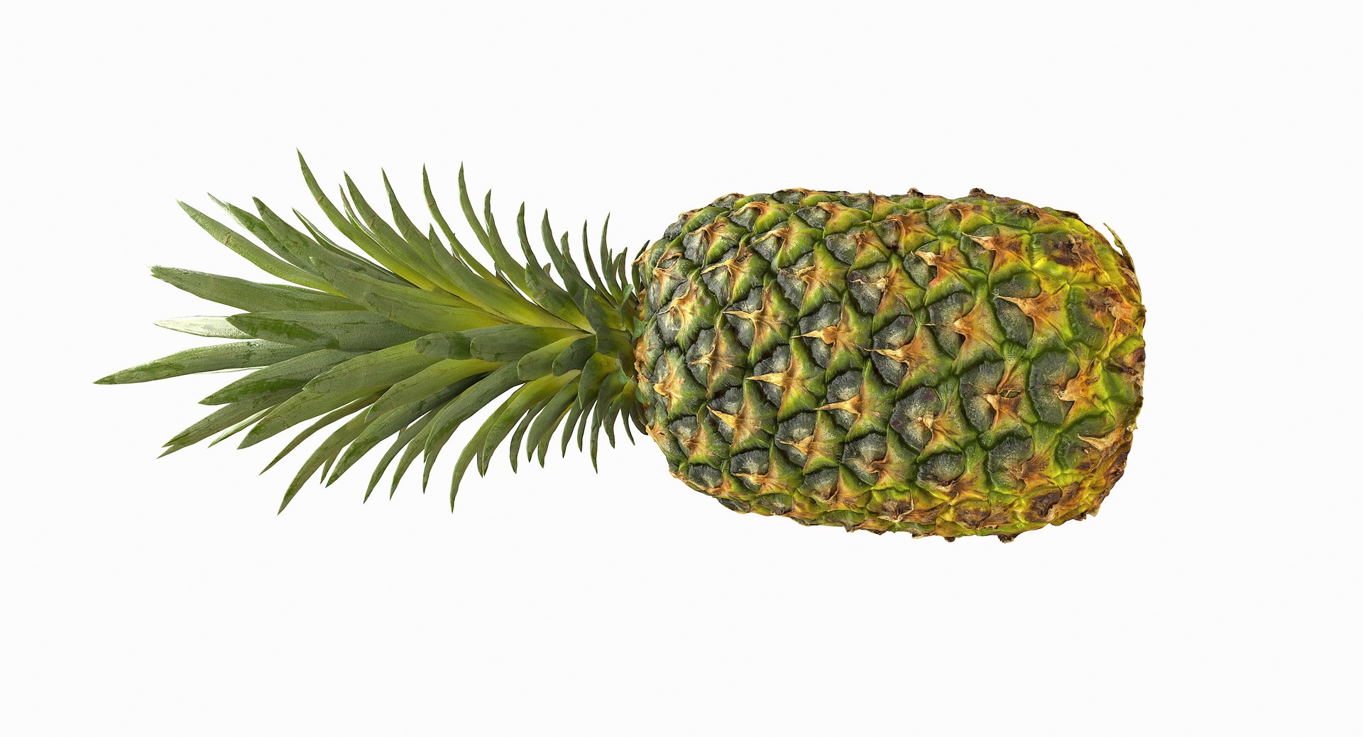 realistic 3D model https://p.turbosquid.com/ts-thumb/rU/af2gif/FpNBC0ON/pineapple_009/jpg/1550938455/1920x1080/fit_q87/54b42cafe3121a786243db9adeb543a44c5aed34/pineapple_009.jpg