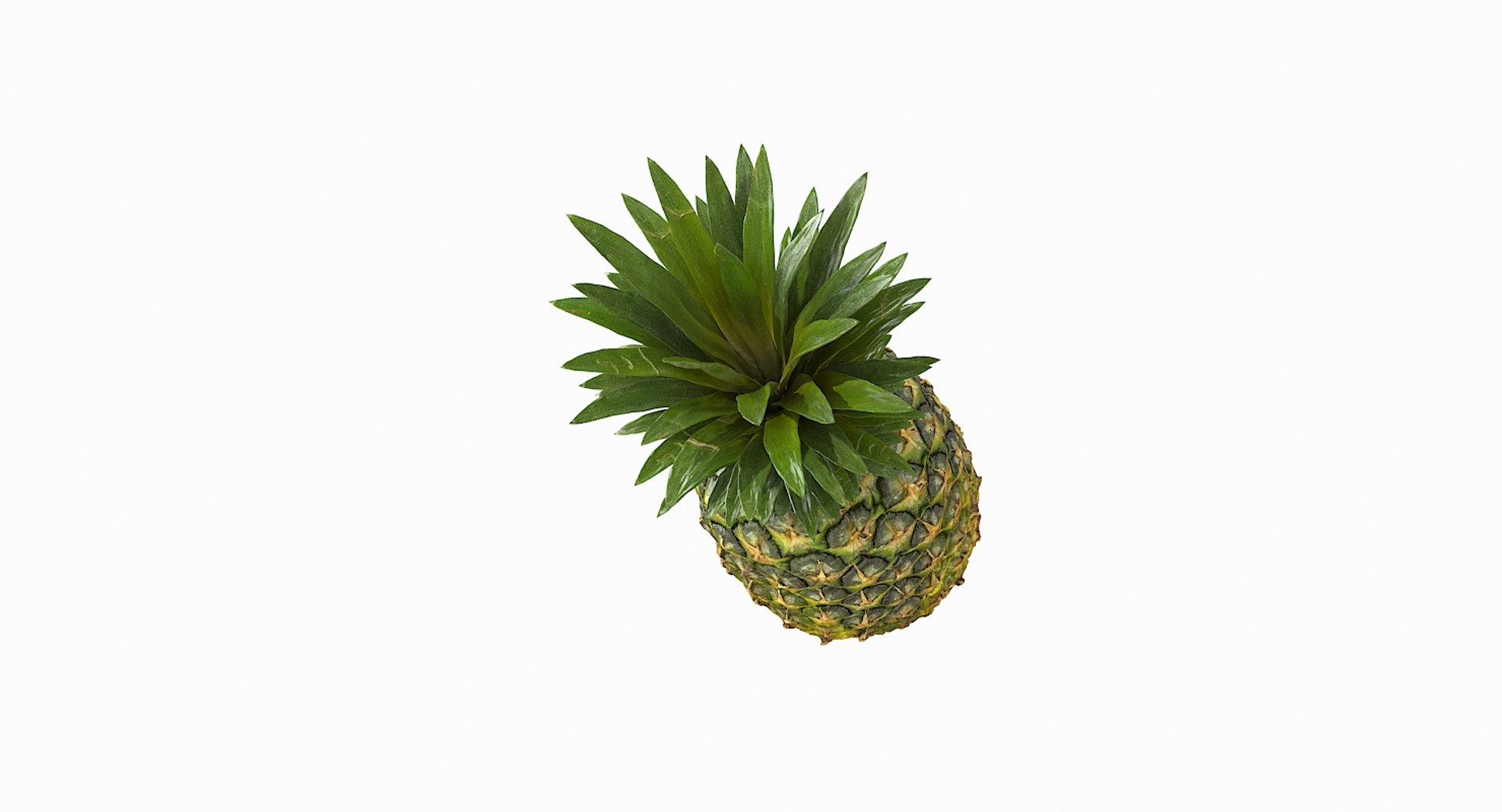 realistic 3D model https://p.turbosquid.com/ts-thumb/rU/af2gif/FzfyTw76/pineapple_061/jpg/1550938456/1920x1080/fit_q87/ef50391735be9d35415c3cf77be27d95cd508463/pineapple_061.jpg