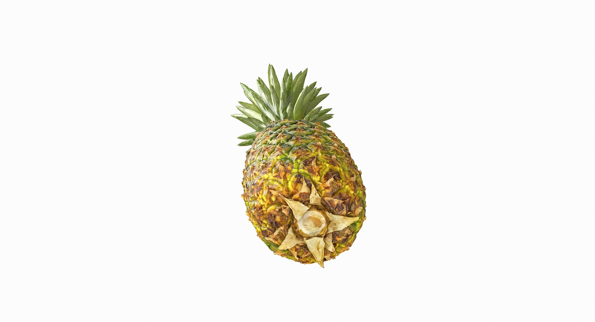 realistic 3D model https://p.turbosquid.com/ts-thumb/rU/af2gif/GbDHwcra/pineapple_069/jpg/1550938457/1920x1080/fit_q87/eb145145101c31ac2547be2c2683923e59fdad0d/pineapple_069.jpg