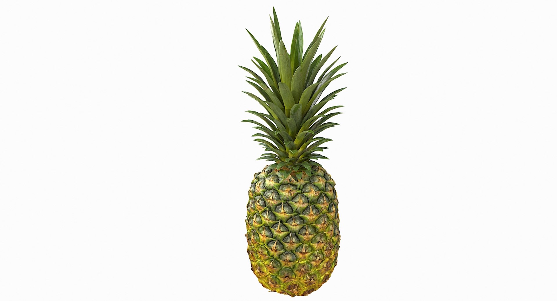realistic 3D model https://p.turbosquid.com/ts-thumb/rU/af2gif/HUU85ok5/pineapple_024/jpg/1550938456/1920x1080/fit_q87/65dcbfa4fb8baa6a4847b30c5ef3f5eb249cdfb8/pineapple_024.jpg