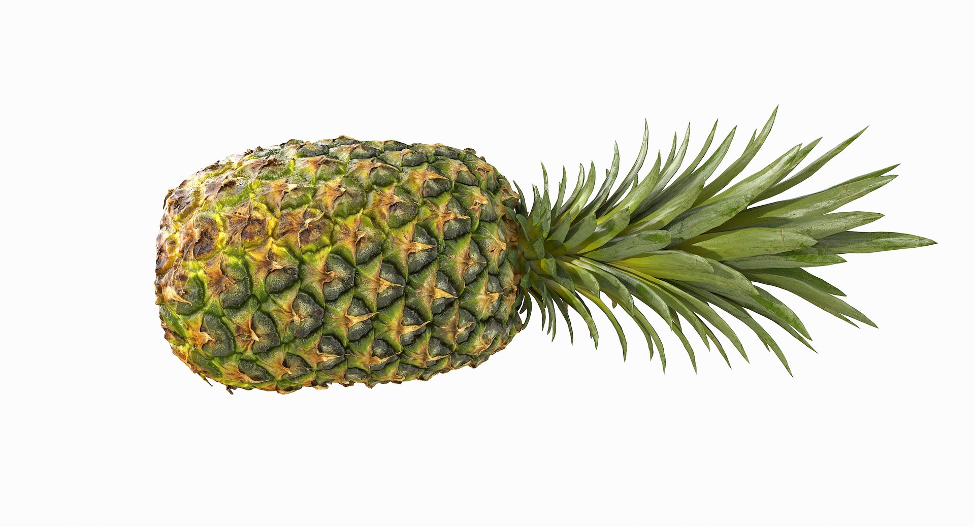 realistic 3D model https://p.turbosquid.com/ts-thumb/rU/af2gif/IDPuYejs/pineapple_070/jpg/1550938457/1920x1080/fit_q87/c8810bdc7438e39c03d9312d5724becf493e9f93/pineapple_070.jpg