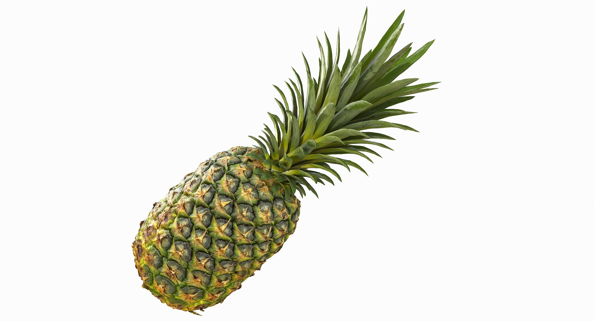realistic 3D model https://p.turbosquid.com/ts-thumb/rU/af2gif/IYchRMBg/pineapple_003/jpg/1550938455/1920x1080/fit_q87/ba52cebc2465e8a40c9ef3a745caab9ff196ba65/pineapple_003.jpg