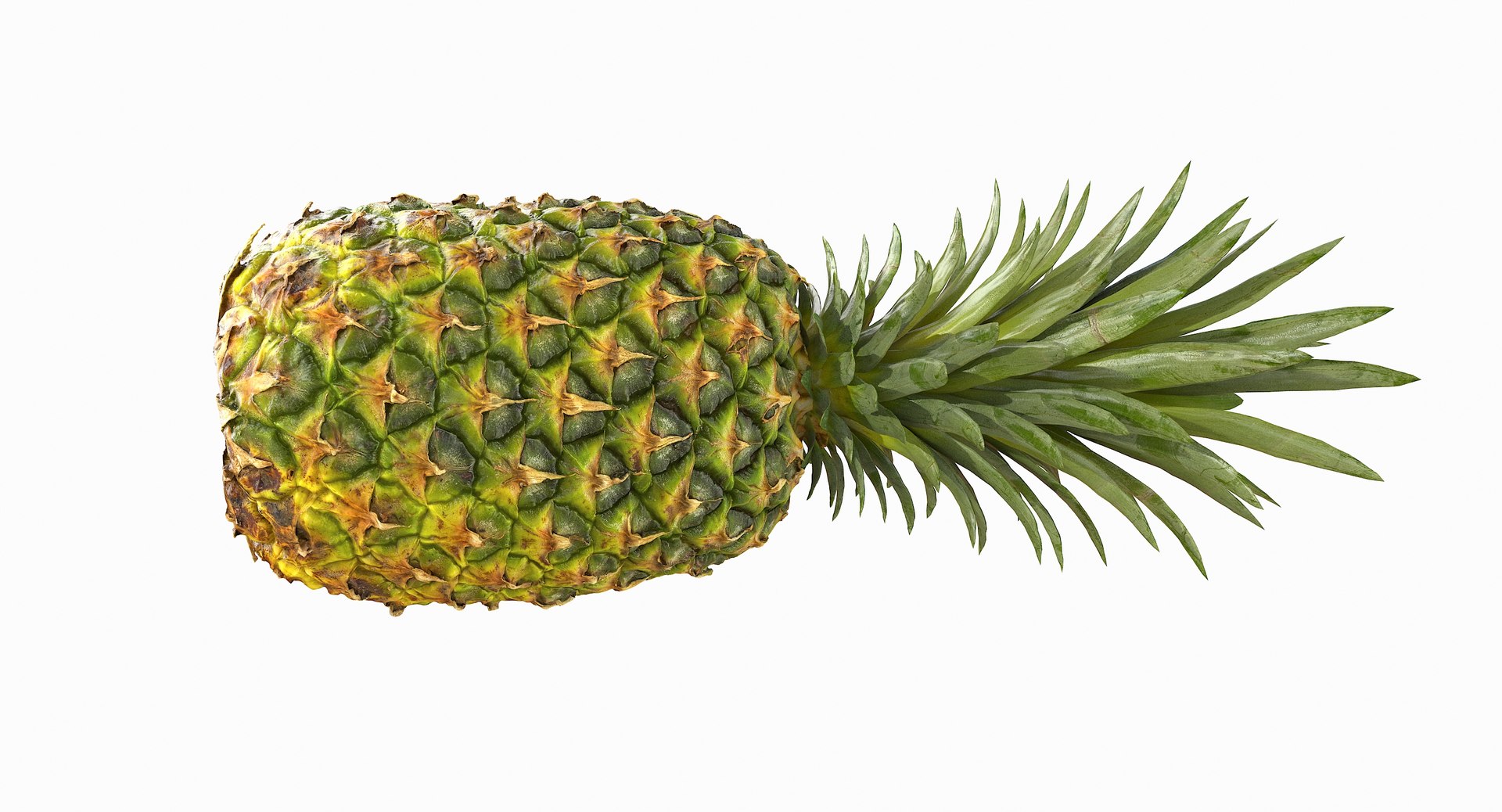 realistic 3D model https://p.turbosquid.com/ts-thumb/rU/af2gif/IpBumNWM/pineapple_035/jpg/1550938456/1920x1080/fit_q87/8b3e39dedf2f08ed7622a976694acf909bd10638/pineapple_035.jpg