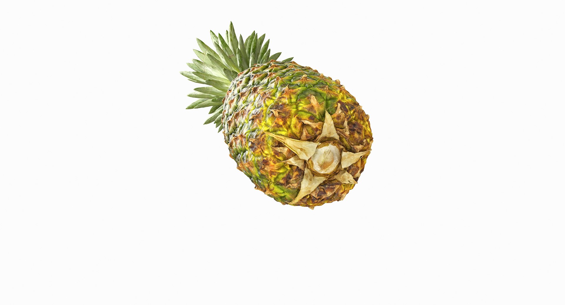 realistic 3D model https://p.turbosquid.com/ts-thumb/rU/af2gif/KUYb6NpR/pineapple_041/jpg/1550938456/1920x1080/fit_q87/d78a983e5572ab7c9596bff37641280cc070098f/pineapple_041.jpg