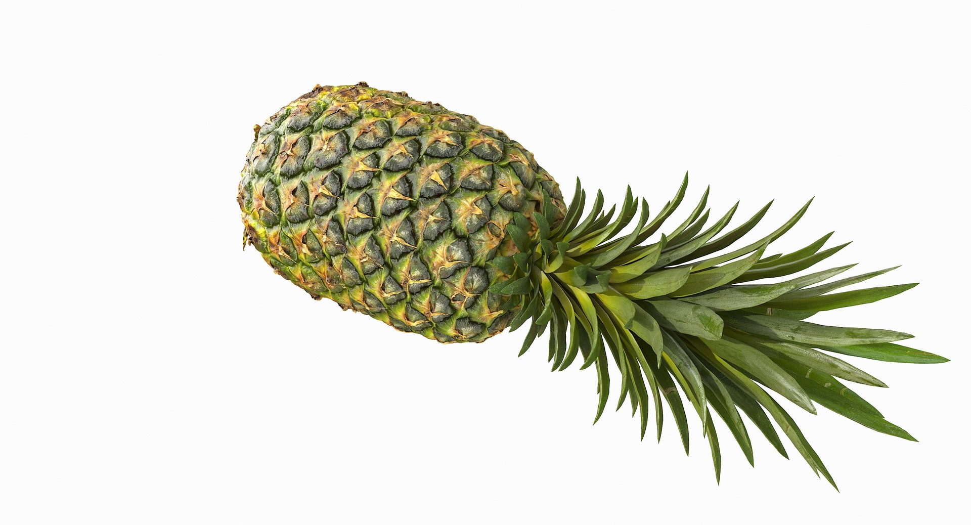 realistic 3D model https://p.turbosquid.com/ts-thumb/rU/af2gif/MlQ6HpY8/pineapple_073/jpg/1550938457/1920x1080/fit_q87/b3b3d4ddfcff50d583c60cbc0bb98dcf2324f023/pineapple_073.jpg