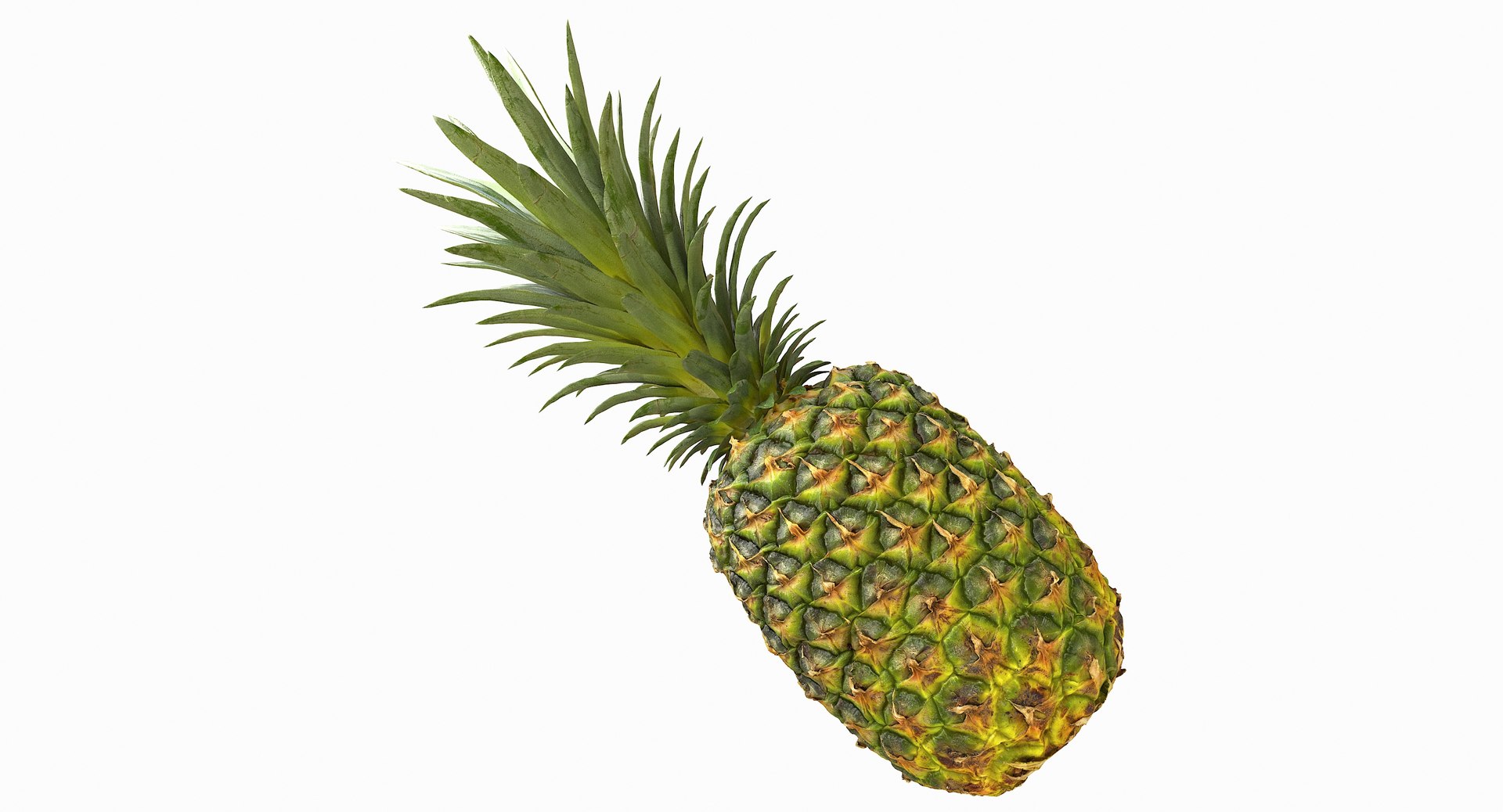 realistic 3D model https://p.turbosquid.com/ts-thumb/rU/af2gif/MmhnDB0C/pineapple_039/jpg/1550938456/1920x1080/fit_q87/4a7c34adde6ea73ea82d33aa59fbb03e7651cfb0/pineapple_039.jpg