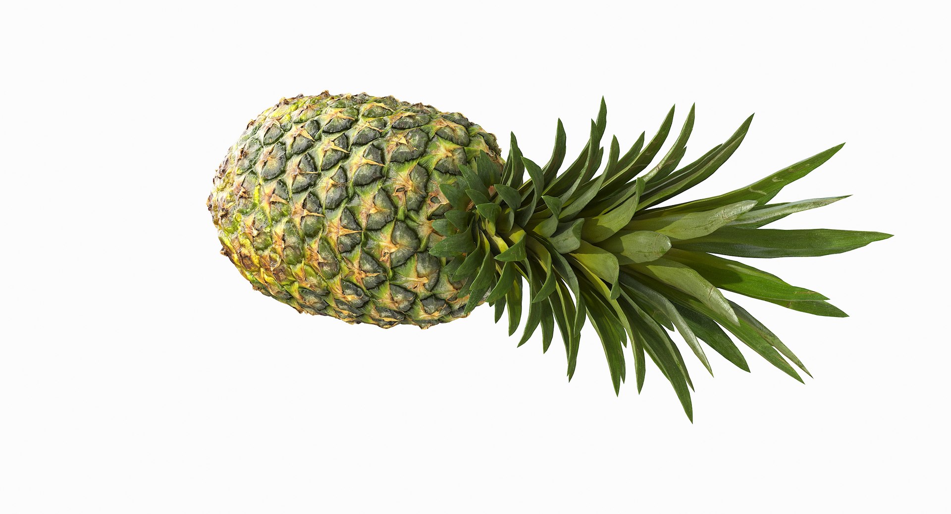 realistic 3D model https://p.turbosquid.com/ts-thumb/rU/af2gif/NBF5dk3q/pineapple_052/jpg/1550938456/1920x1080/fit_q87/d97e5f8b36db8cc5b392767a303f3cc95e28e067/pineapple_052.jpg