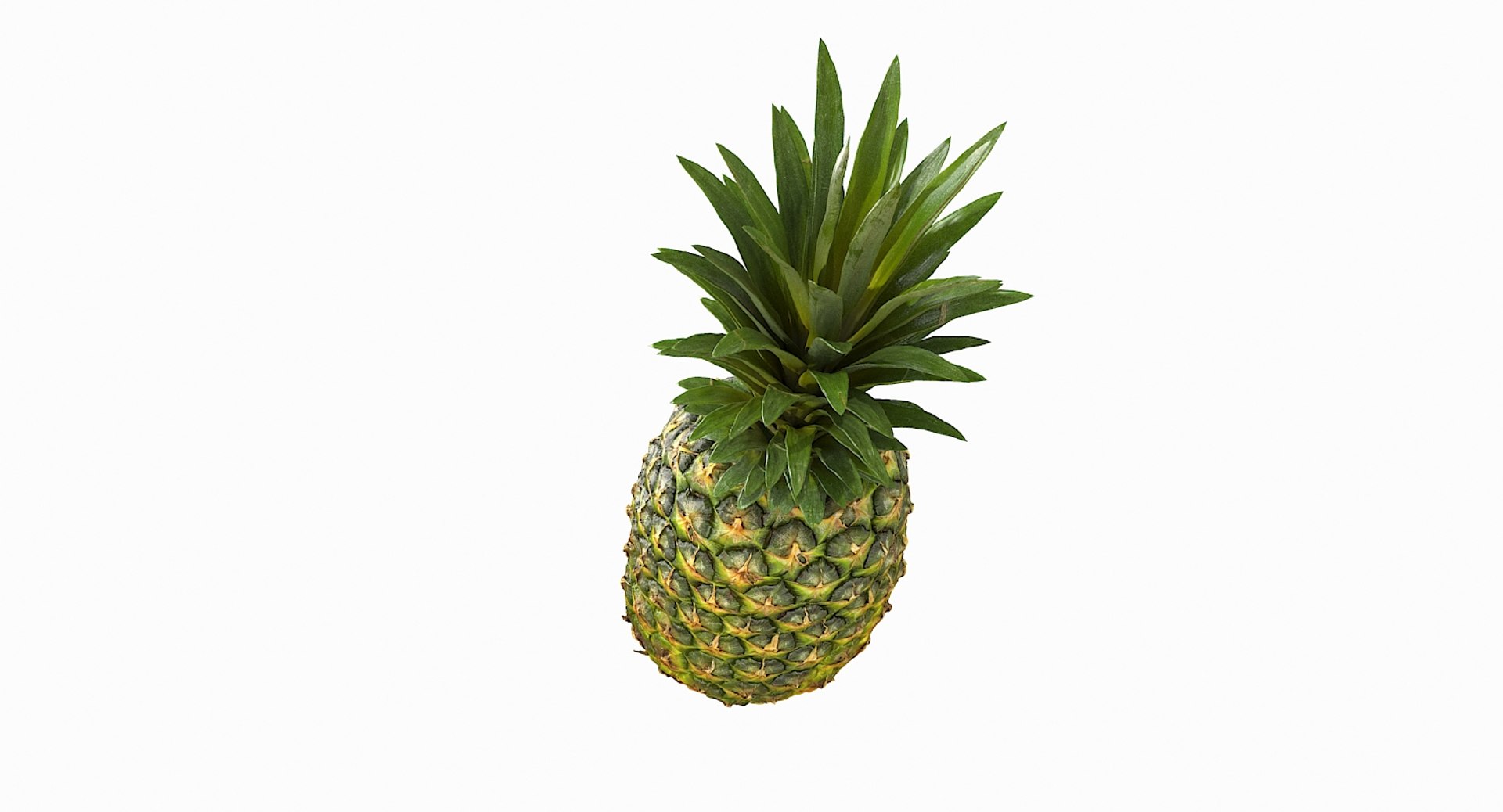 realistic 3D model https://p.turbosquid.com/ts-thumb/rU/af2gif/NoSzcCh1/pineapple_060/jpg/1550938456/1920x1080/fit_q87/50add46512ca43242f58019edb811077a8bf4a40/pineapple_060.jpg