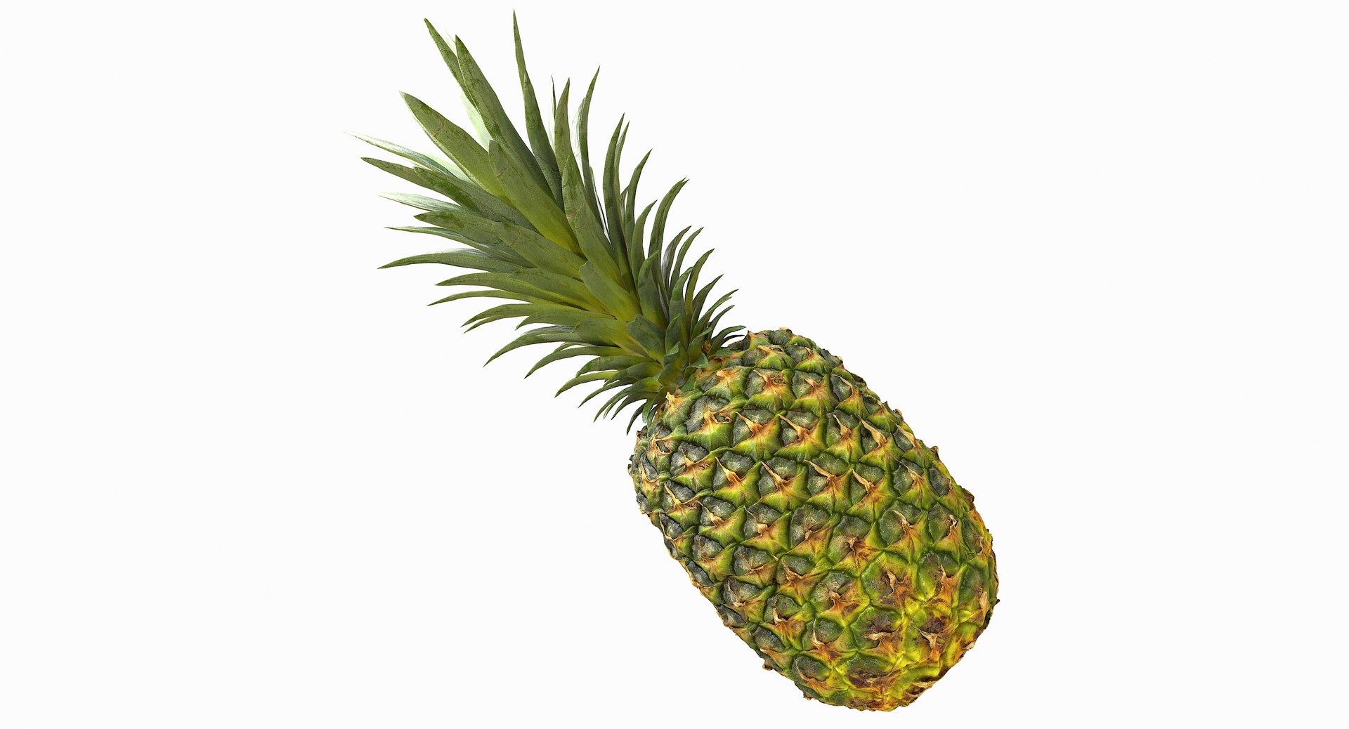 realistic 3D model https://p.turbosquid.com/ts-thumb/rU/af2gif/OOkD6S5s/pineapple_047/jpg/1550938456/1920x1080/fit_q87/adfdbc7052a2ee7d3a06db4e5b31ab846c01a132/pineapple_047.jpg