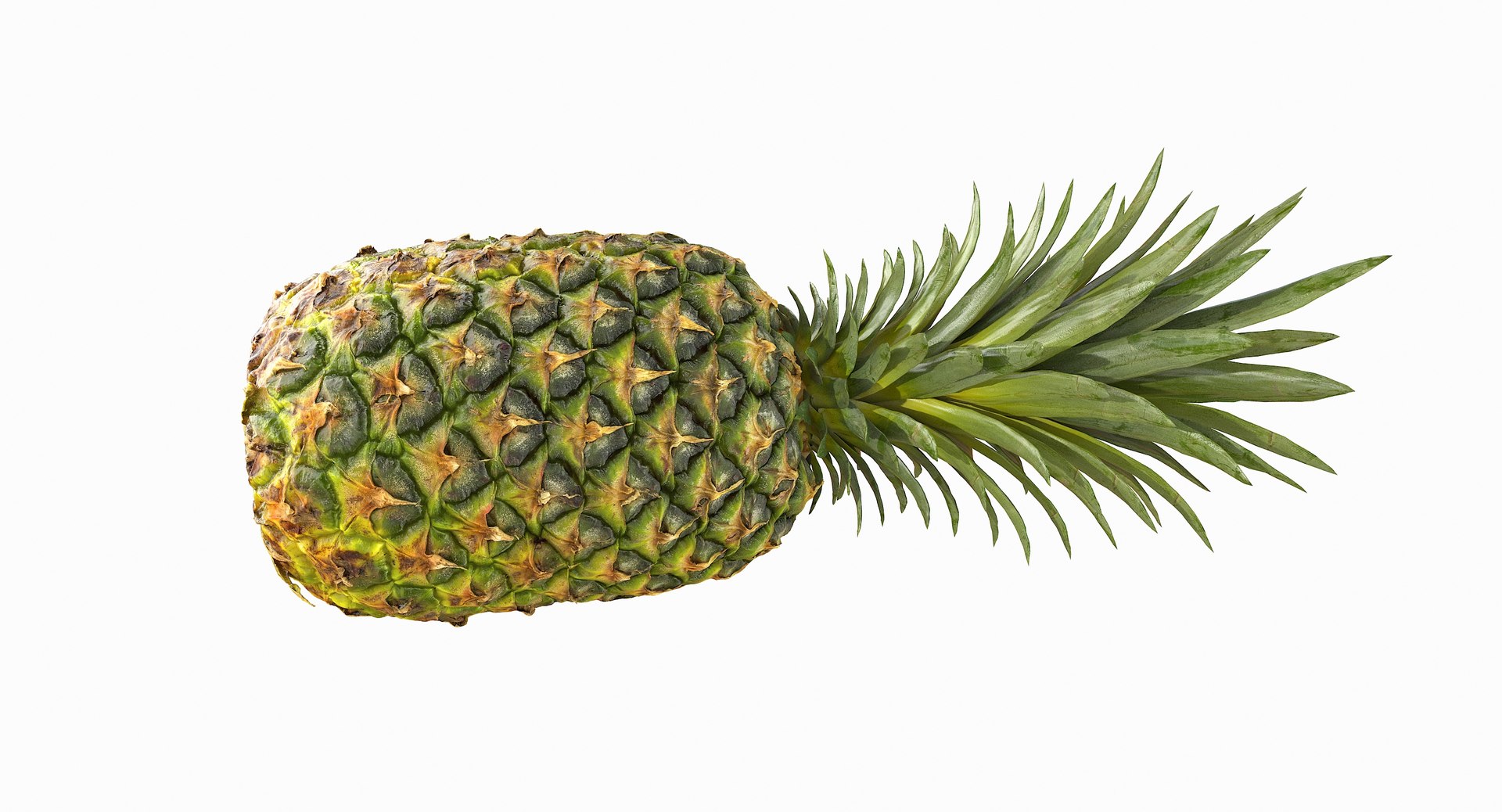 realistic 3D model https://p.turbosquid.com/ts-thumb/rU/af2gif/OwuF7ppT/pineapple_072/jpg/1550938457/1920x1080/fit_q87/29a8a3075baa2643d920d9b52d3618b0c4b69687/pineapple_072.jpg