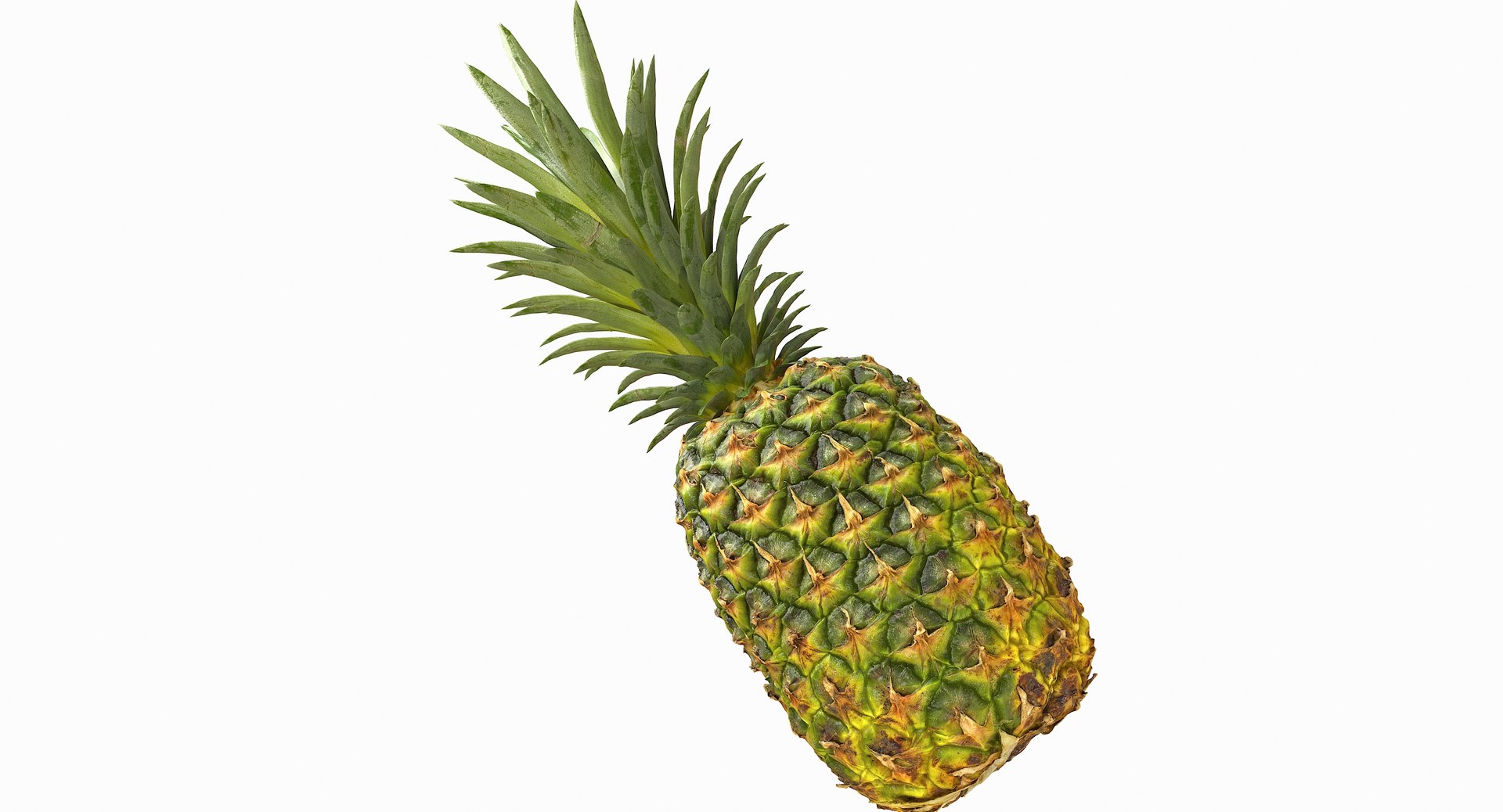realistic 3D model https://p.turbosquid.com/ts-thumb/rU/af2gif/PDXe4TR9/pineapple_048/jpg/1550938456/1920x1080/fit_q87/7853db2eb58b71b76563490e06166786bcd2087b/pineapple_048.jpg