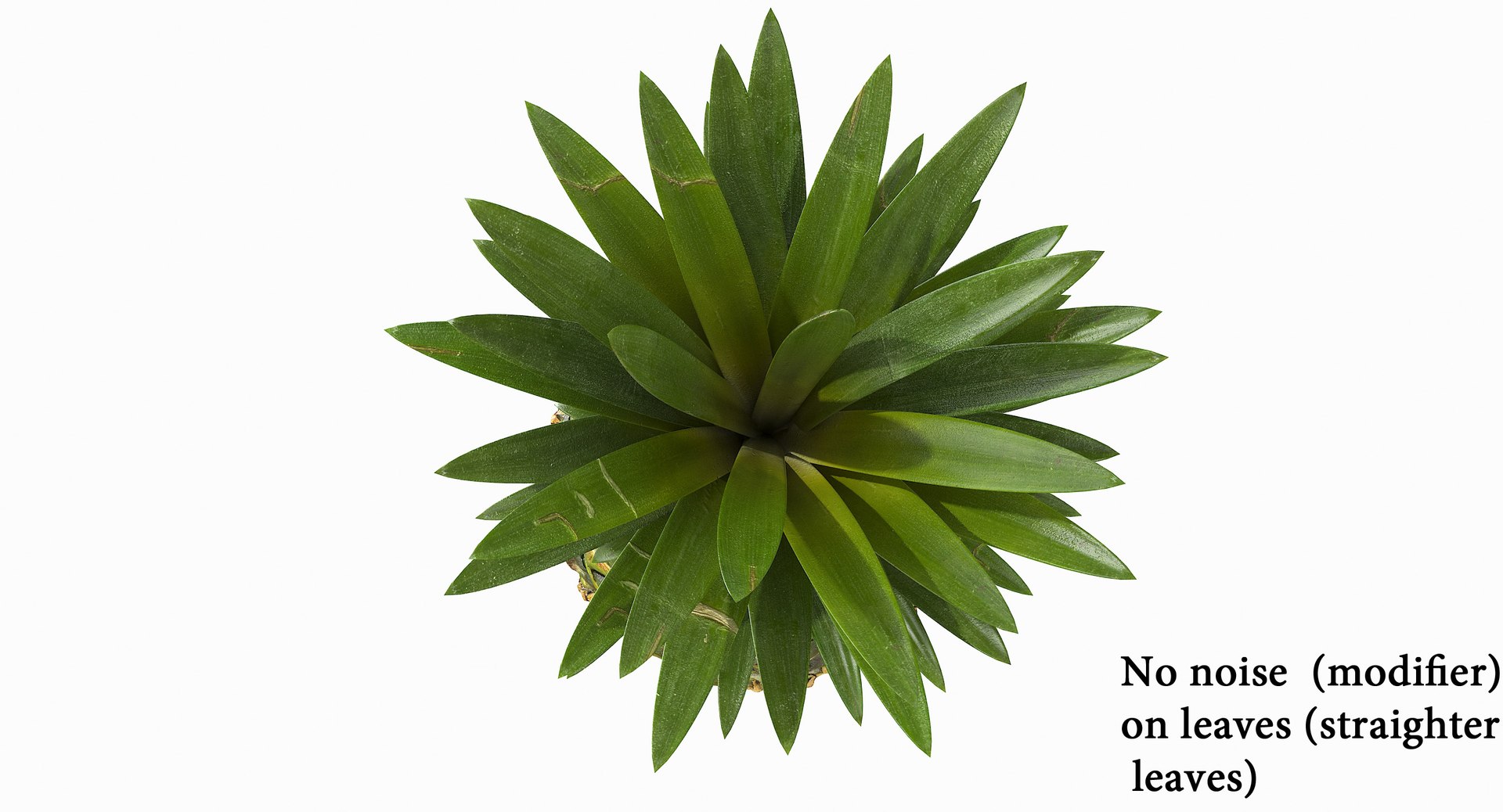 realistic 3D model https://p.turbosquid.com/ts-thumb/rU/af2gif/PN8iH96C/pineapple_067/jpg/1550938456/1920x1080/fit_q87/ea0990447ccb5d6aeb09c2b4ba4d6ac0f51cf1ef/pineapple_067.jpg