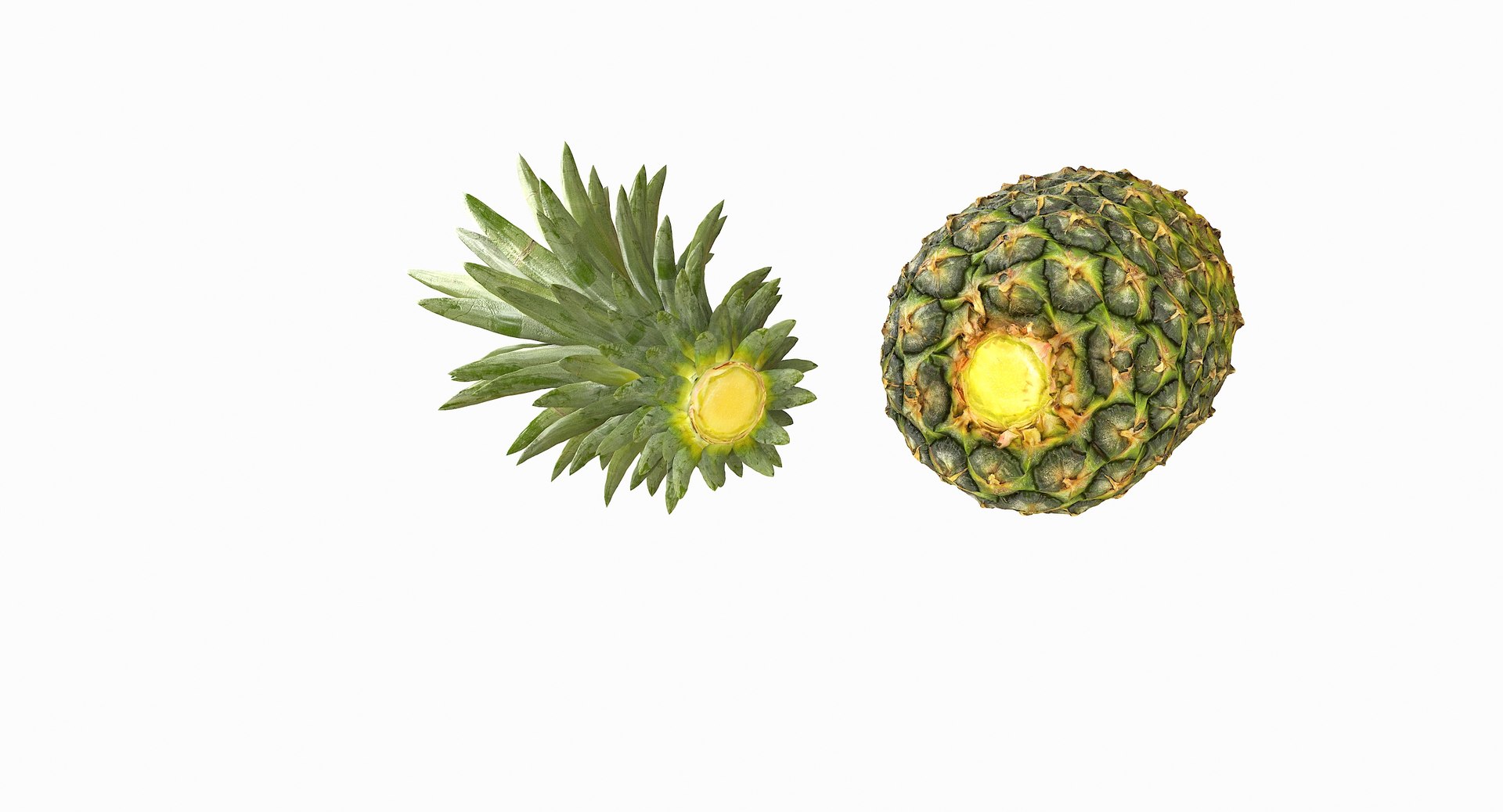 realistic 3D model https://p.turbosquid.com/ts-thumb/rU/af2gif/PVGXfyAk/pineapple_082/jpg/1550938457/1920x1080/fit_q87/d86ce07de65a3f7fdfe41e7f005f2ea0d8ce967f/pineapple_082.jpg