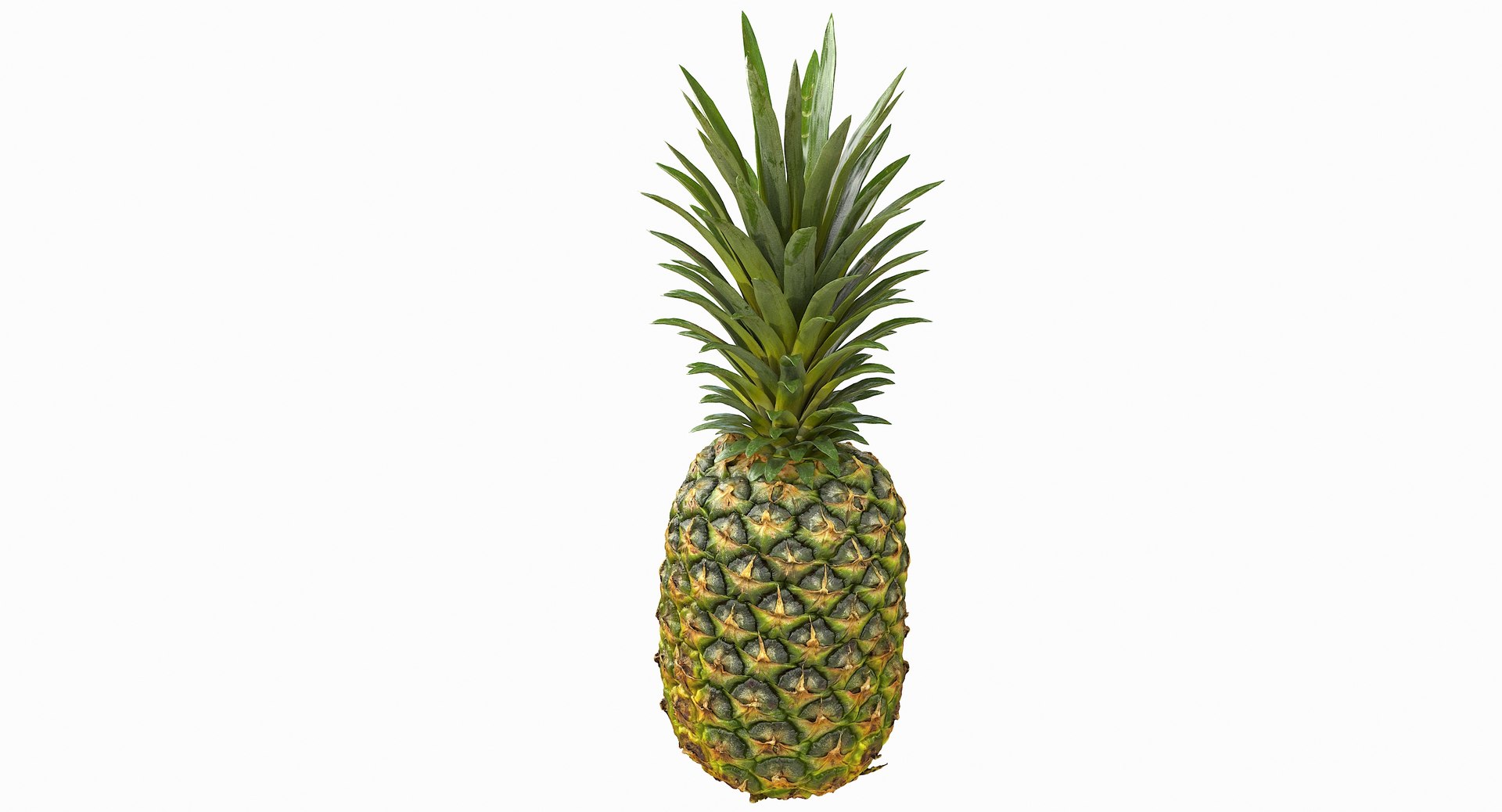 realistic 3D model https://p.turbosquid.com/ts-thumb/rU/af2gif/RSqQimDY/pineapple_027/jpg/1550938456/1920x1080/fit_q87/bd9b8a822955d058c16b3cdf0bc4dfd6298f4fff/pineapple_027.jpg