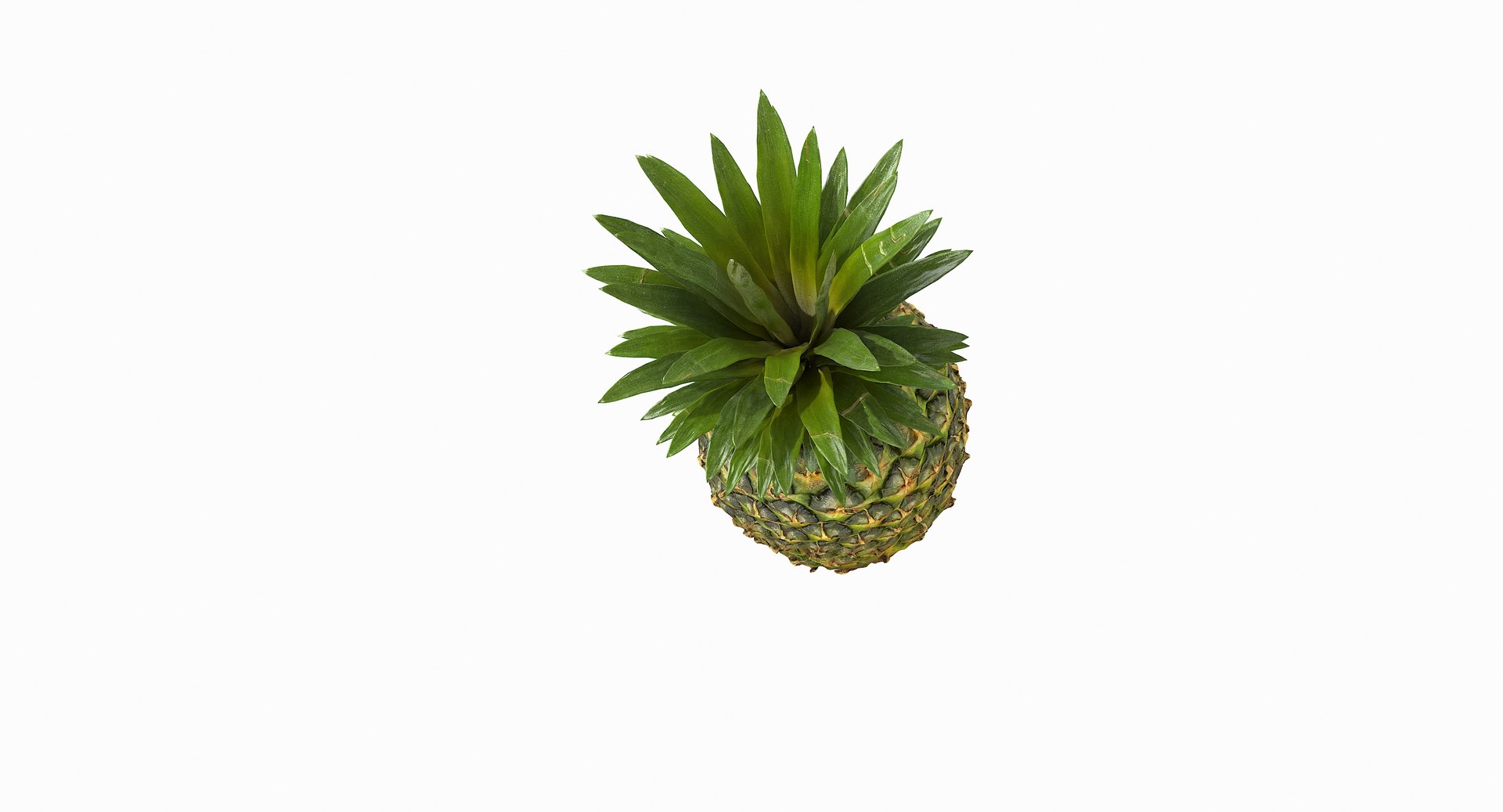 realistic 3D model https://p.turbosquid.com/ts-thumb/rU/af2gif/S6g9aVOt/pineapple_063/jpg/1550938456/1920x1080/fit_q87/e860347f5df00eb60d40d00171579a6561bc245e/pineapple_063.jpg