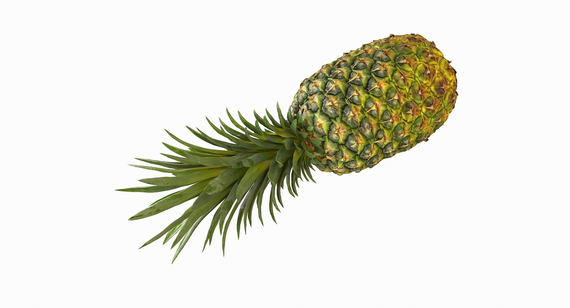 realistic 3D model https://p.turbosquid.com/ts-thumb/rU/af2gif/UwpHnfHJ/pineapple_081/jpg/1550938457/1920x1080/fit_q87/2943467a3373517ea3b0dee38b13b37ee7f63ce7/pineapple_081.jpg