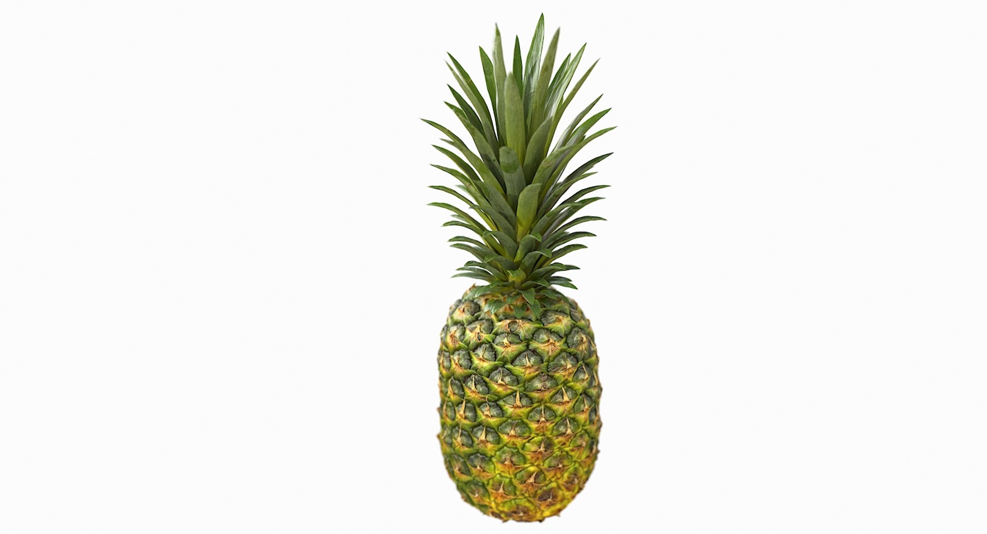 realistic 3D model https://p.turbosquid.com/ts-thumb/rU/af2gif/V7Ybiznt/pineapple_007/jpg/1550938455/1920x1080/fit_q87/813a2af145598910be234eaefa381cc05f9e4c07/pineapple_007.jpg