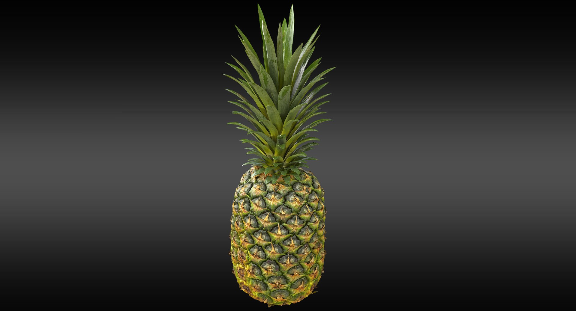 realistic 3D model https://p.turbosquid.com/ts-thumb/rU/af2gif/WZrmpQ7Z/pineapple_005/jpg/1550938455/1920x1080/fit_q87/3841730dabdf487f7fc000fa0a7bf0616cc4ec3a/pineapple_005.jpg