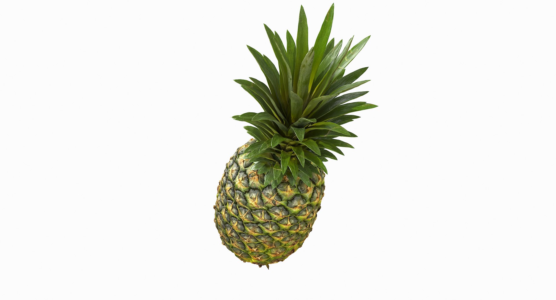 realistic 3D model https://p.turbosquid.com/ts-thumb/rU/af2gif/X6nQIqZV/pineapple_075/jpg/1550938457/1920x1080/fit_q87/b2be3764c5ae0dc30017093a242a15ed7a2e54b7/pineapple_075.jpg
