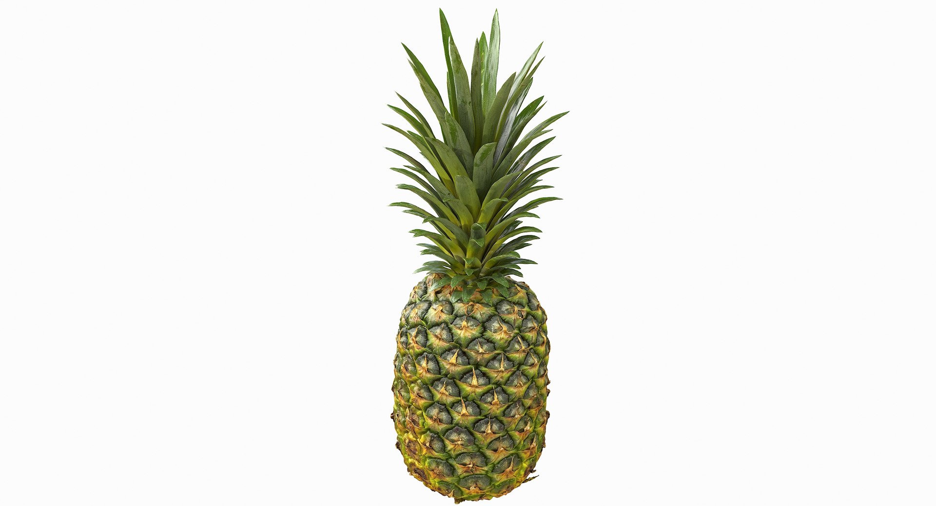 realistic 3D model https://p.turbosquid.com/ts-thumb/rU/af2gif/XeApwLt8/pineapple_074/jpg/1550938457/1920x1080/fit_q87/cbf5e8583bf4cd973612b35f8ab048429fb62434/pineapple_074.jpg