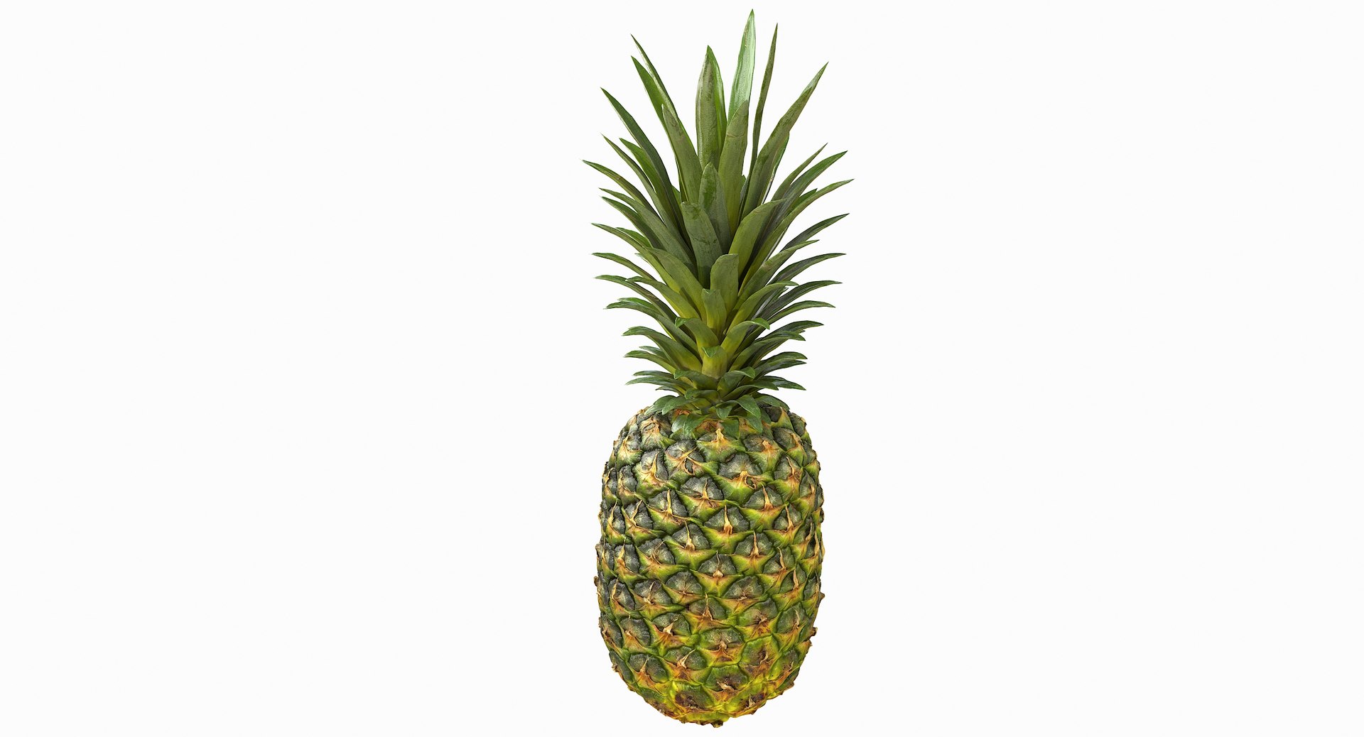 realistic 3D model https://p.turbosquid.com/ts-thumb/rU/af2gif/XhFwWzb7/pineapple_022/jpg/1550938455/1920x1080/fit_q87/d3019286f0c70a03174f6ad0fd0477a9c5d69ca7/pineapple_022.jpg