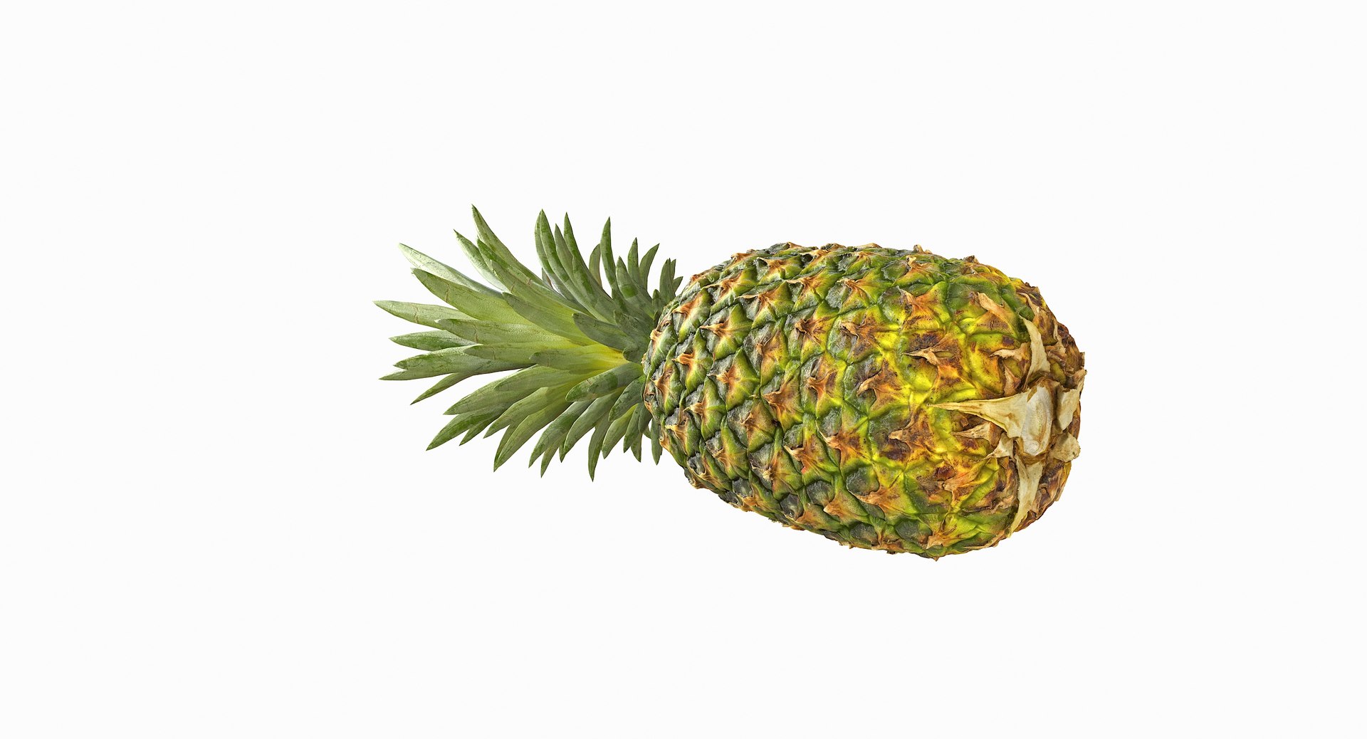realistic 3D model https://p.turbosquid.com/ts-thumb/rU/af2gif/XrN1S3V2/pineapple_040/jpg/1550938456/1920x1080/fit_q87/2e44c0d0e4794ca1f2bd7678ec54291404088492/pineapple_040.jpg
