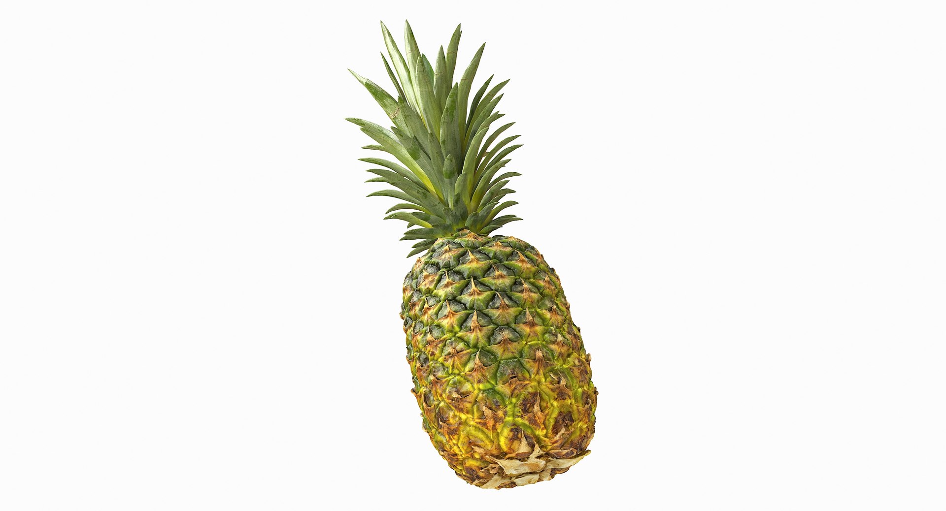 realistic 3D model https://p.turbosquid.com/ts-thumb/rU/af2gif/XyCH9Mzb/pineapple_068/jpg/1550938457/1920x1080/fit_q87/34f1bf917a7fc2db445ae9ec353d9d4c1d68107b/pineapple_068.jpg