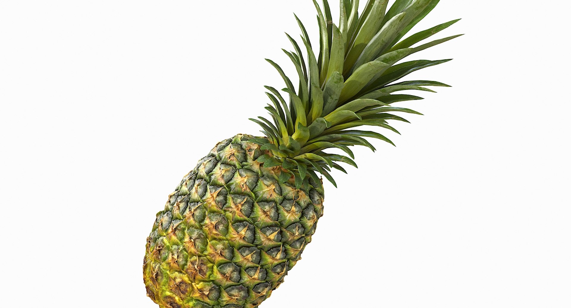 realistic 3D model https://p.turbosquid.com/ts-thumb/rU/af2gif/daFhj9uH/pineapple_029/jpg/1550938456/1920x1080/fit_q87/48746d40bc9f443a90f3459007ecc7412c1697ab/pineapple_029.jpg