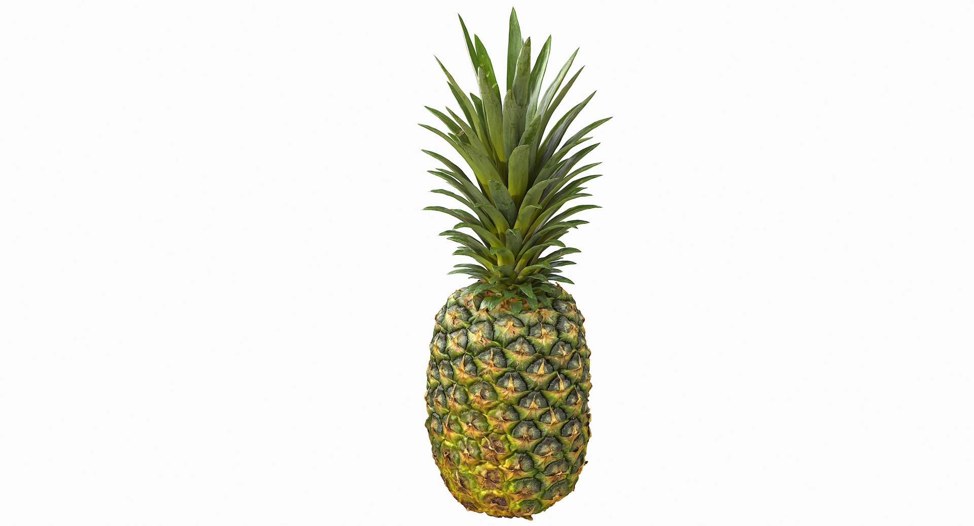 realistic 3D model https://p.turbosquid.com/ts-thumb/rU/af2gif/desP0fzQ/pineapple_018/jpg/1550938455/1920x1080/fit_q87/d6bf301a99d6f30e75d3a3d72550eb0562f079ff/pineapple_018.jpg