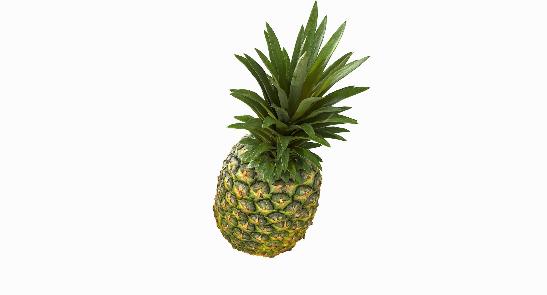 realistic 3D model https://p.turbosquid.com/ts-thumb/rU/af2gif/eYvoZIcX/pineapple_076/jpg/1550938457/1920x1080/fit_q87/e083434c2e949c7bf9221161fd6e77ca25829f03/pineapple_076.jpg